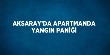 31259251222512124964tasarimli