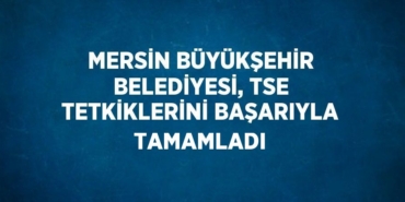 31259289012692629194tasarimli