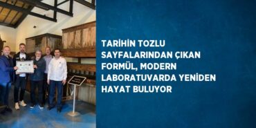 31260205062669820646