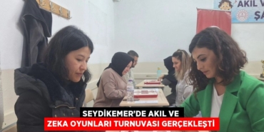 31260253082567028923tasarimli