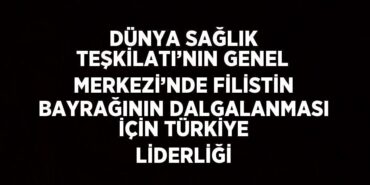 31267243402767129167tasarimli