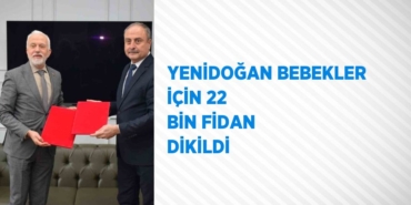 31271294513127125355