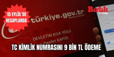 31272305733140921586