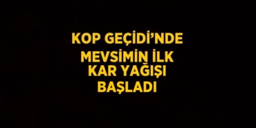 31280314992594827629tasarimli