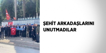 31280318642747928446