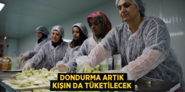 31282314372366120756tasarimli