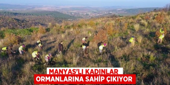 MANYAS’LI KADINLAR  ORMANLARINA SAHİP ÇIKIYOR