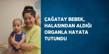 31288263383054122245