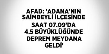 31288289062621822383tasarimli