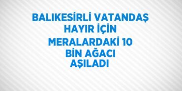 31293252342655926359tasarimli