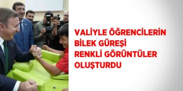 31294242642467420806