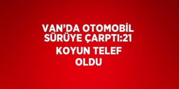 31295203512071621127tasarimli