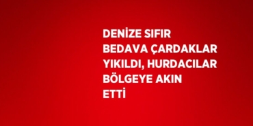 31295259973133925838