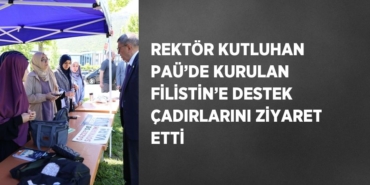 31297228482037324352