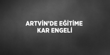 31300202582523927597tasarimli
