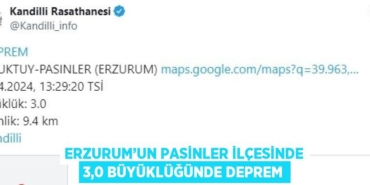 31316258582369430598tasarimli