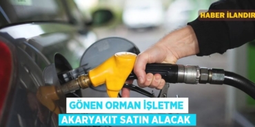 31317273442851130968tasarimli