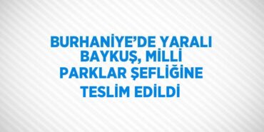 31320204322169629996tasarimli