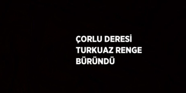 31323286713173029096