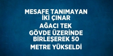 31324201693036922041tasarimli