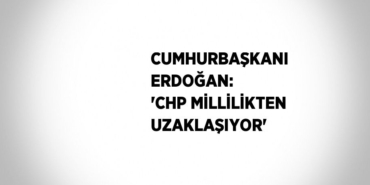 31325206512642924060