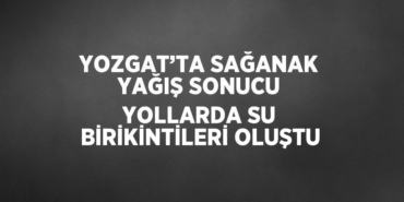 31327319432794720810tasarimli