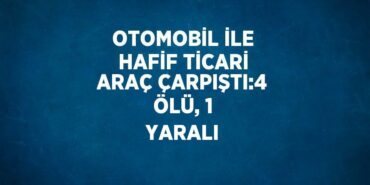 31329278742715631147tasarimli