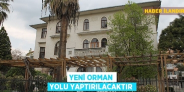 31330216832989922278tasarimli