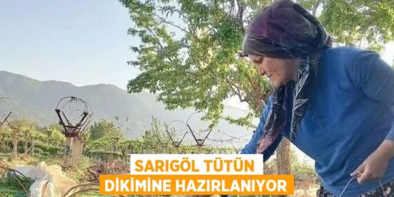 SARIGÖL TÜTÜN DİKİMİNE HAZIRLANIYOR