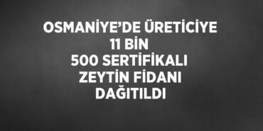31333282153041231752tasarimli