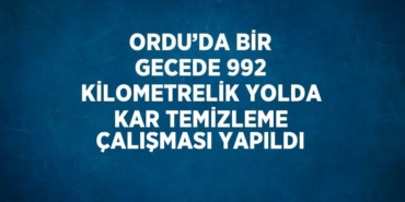 31335216822778928832tasarimli