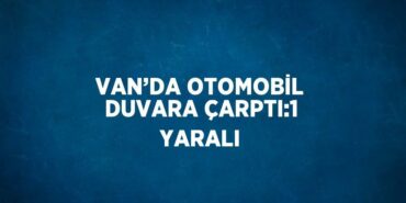 31335222273083131857tasarimli