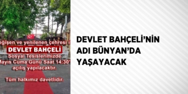 31338209992006524111