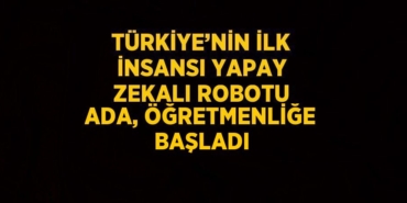 31338229712569523788tasarimli