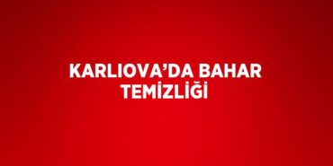 31338315942347020017tasarimli