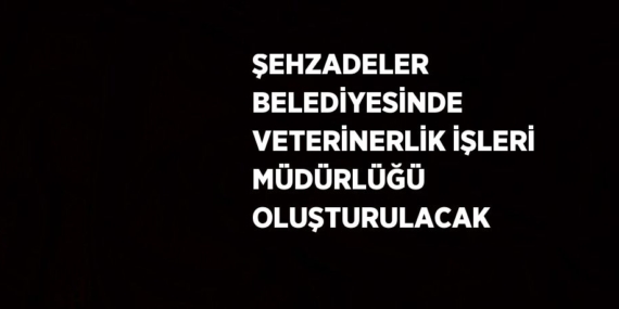 ŞEHZADELER BELEDİYESİNDE VETERİNERLİK İŞLERİ MÜDÜRLÜĞÜ OLUŞTURULACAK