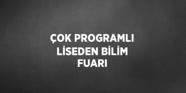 31343201862189031174tasarimli