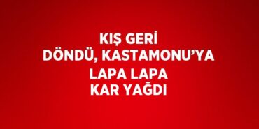 31346234262377323367tasarimli