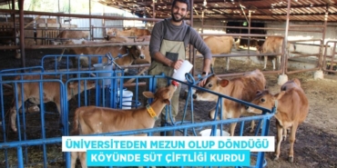 31346250532760029802tasarimli