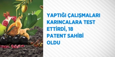 31347267763179326847