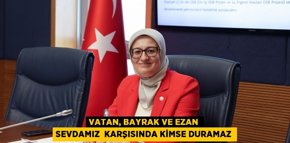 31348211062472620239tasarimli