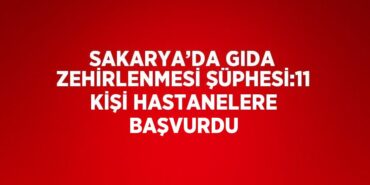 31349304792820926105tasarimli