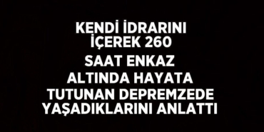 31351284352194721272tasarimli