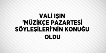 31353210332615330451tasarimli