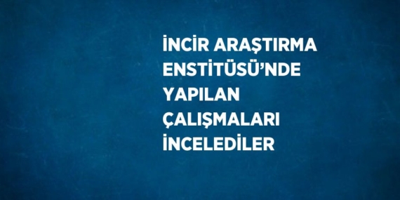 İNCİR ARAŞTIRMA ENSTİTÜSÜ’NDE YAPILAN ÇALIŞMALARI İNCELEDİLER