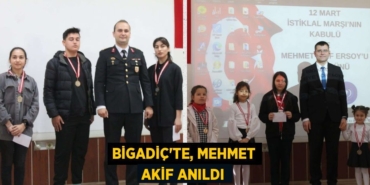 31353300292724431031tasarimli