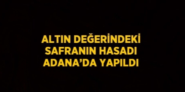 31354202462458324451tasarimli