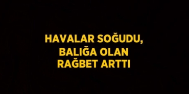 31355222292500030751tasarimli