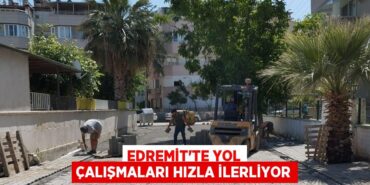 31355286382922428062tasarimli