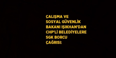 31366213813102927506